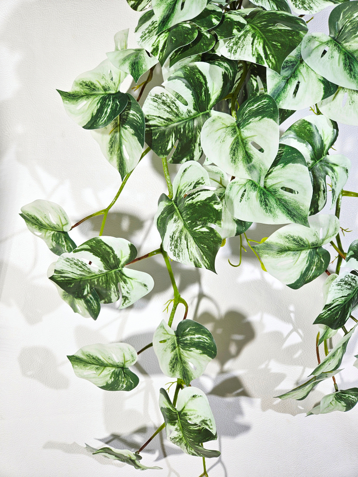 Искусственное ампельное растение Монстера Тайское созвездие в настенном белом кашпо