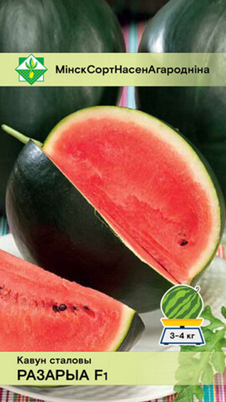 Арбуз " Розарио F1" 5шт, Польша.