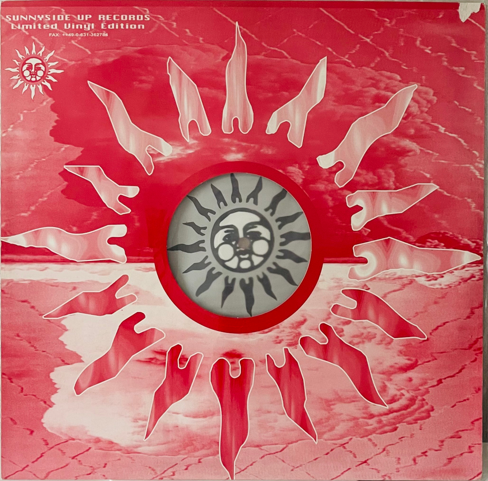 P-Casso - Back In TheJungle (Remix)