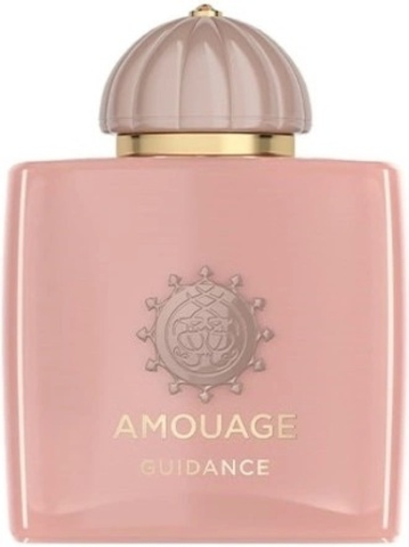 Amouage Guidance