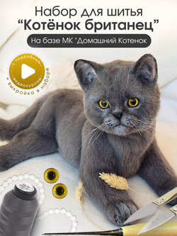 МК с набором для шитья "Реалистичный британец"