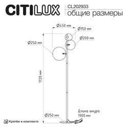 Citilux ORTON CL202933 Торшер Микс