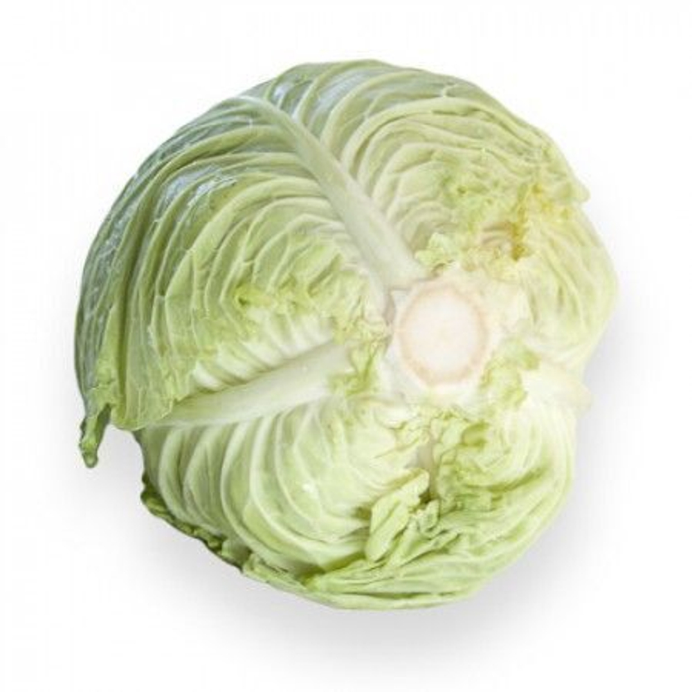 Эстрема F1 семена капусты савойской (Rijk Zwaan / Райк Цваан)