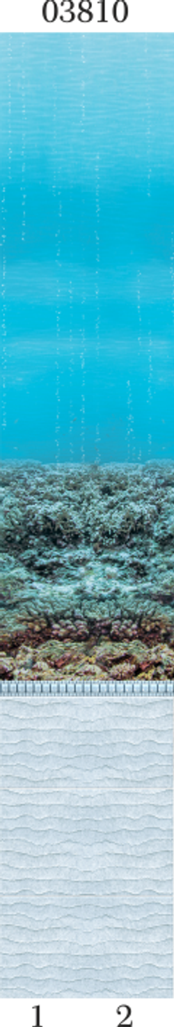 Панель ПВХ фотопечать 3D Panda Подводный мир 2700х250 мм