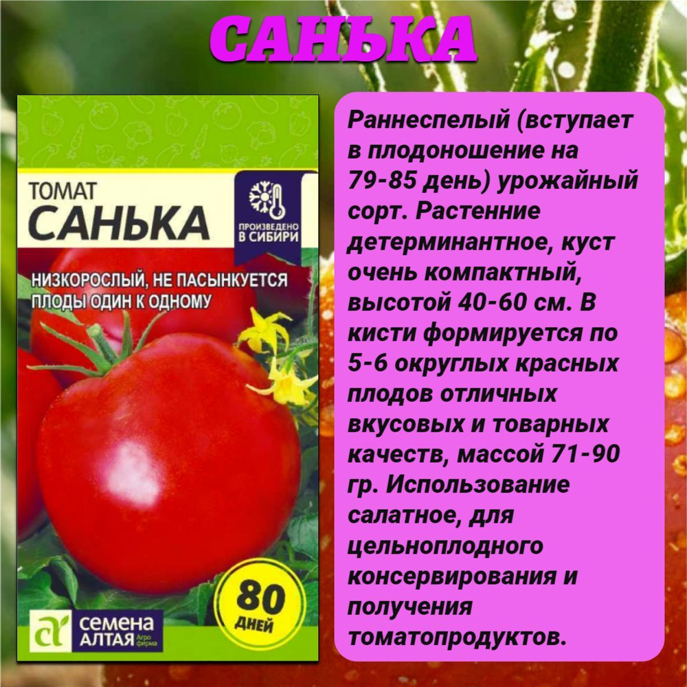 Лучшие сорта томата. Семена Алтая