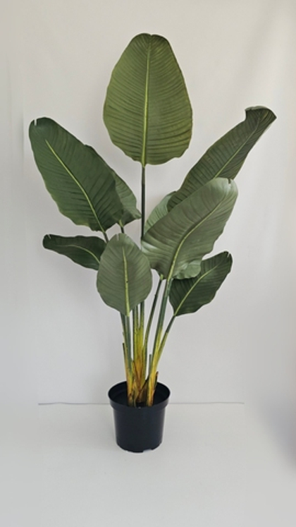 Стрелиция Николая Premium 120 см 9 листьев в тех кашпо