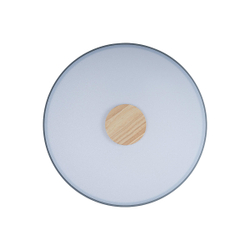 10003/24 Grey Потолочный светильник LOFT IT Axel