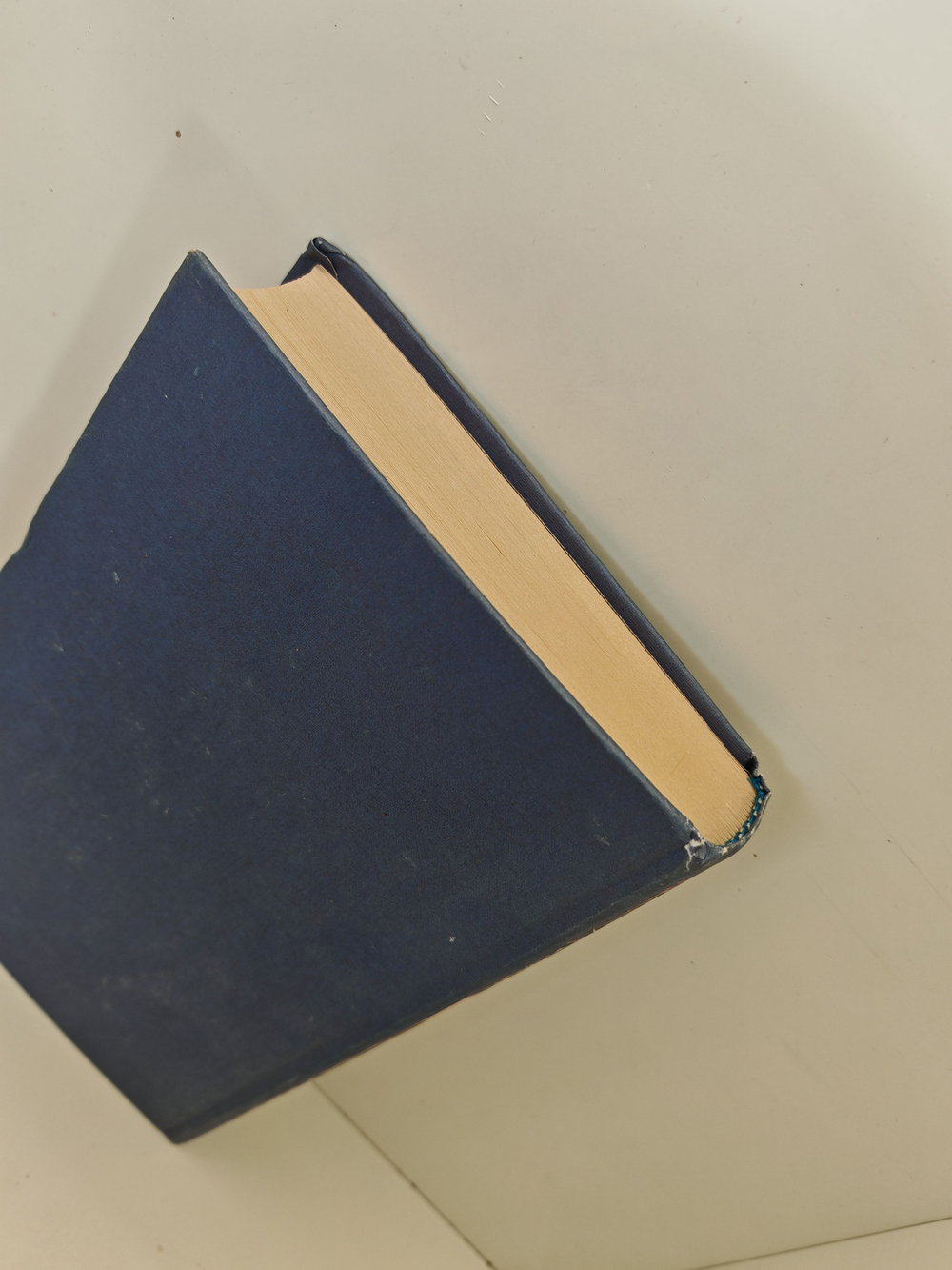 Петр Великий в романах. Дипломат и политик