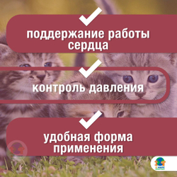 Зоокард Средство для лечения заболеваний сердца у кошек, Суспензия 25 мл, Пчелодар. Рамиприл.