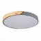 SLE200972-01 Светильник потолочный Серый, Светлое дерево/Белый LED 1*45W 3000K/4000K/6000K FESTA