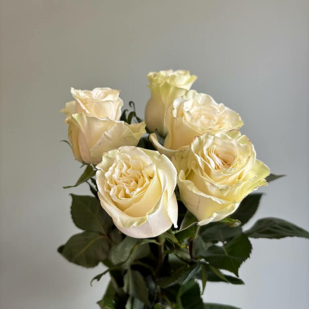 Букет из 5 белых роз Мондиаль