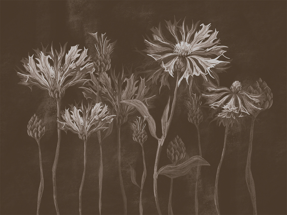 Коллекция SUMMERTIME