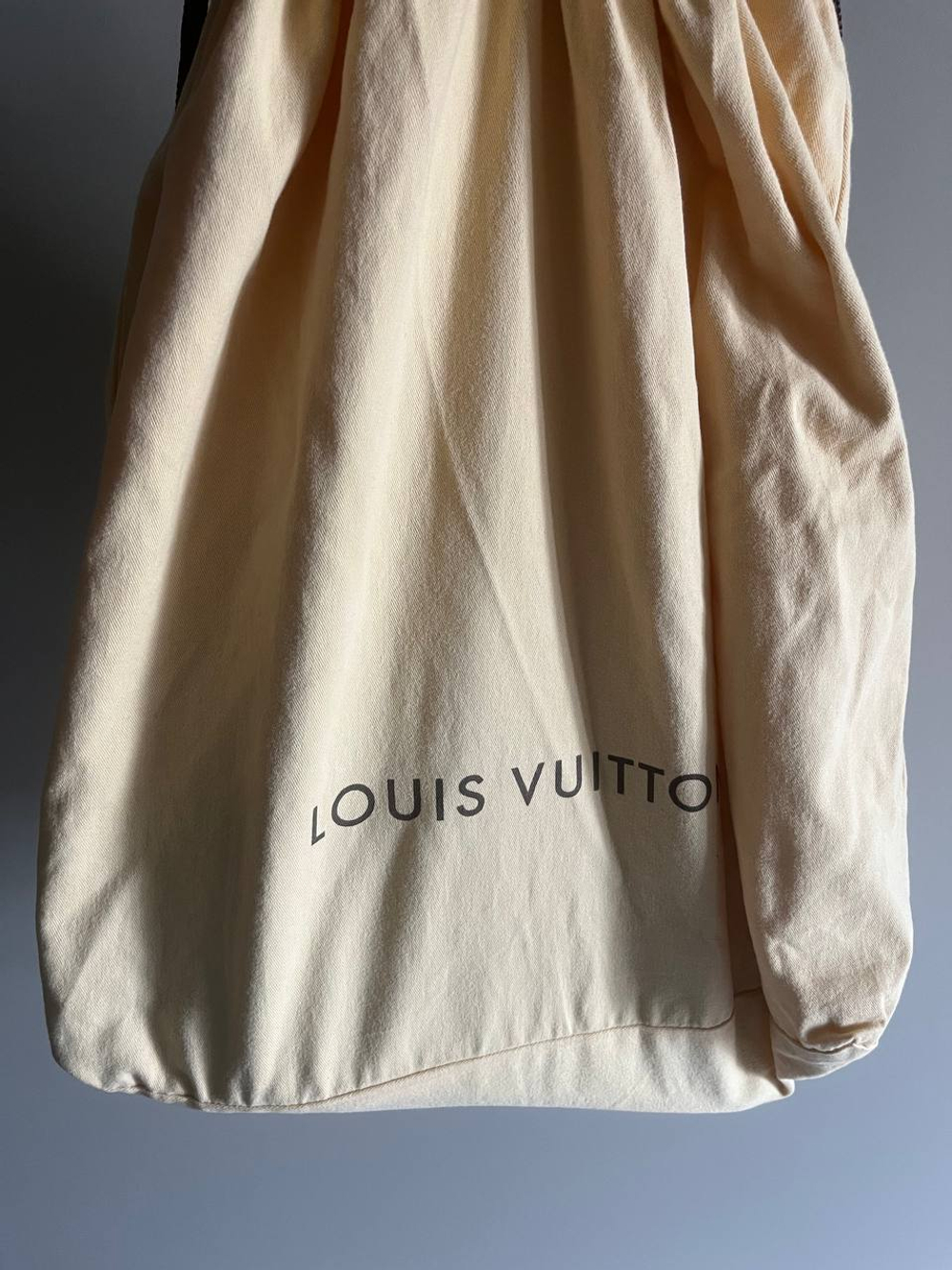 Сумка Louis Vuitton