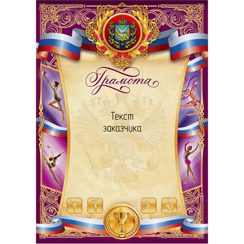 PNDiploma-043 с текстом