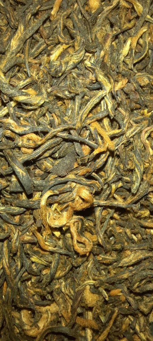 Цзинь Цзюнь Мэй (Фуцзянь new!)