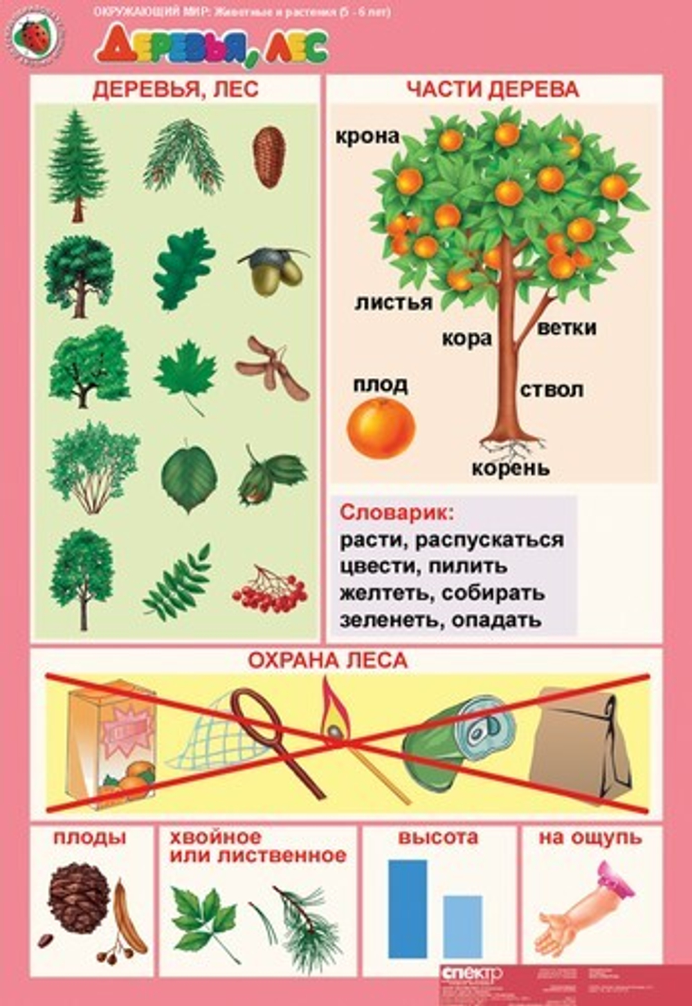 Комплект таблиц Окружающий мир 5-6 лет "Животные и растения" (12 таблиц+16 карт.)