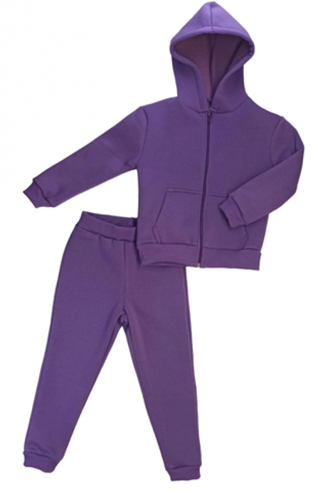 Спортивный костюм 0210/14 фиолетовый, 3хн