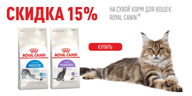 Объявляем АКЦИЮ на Royal Canin для кошек!