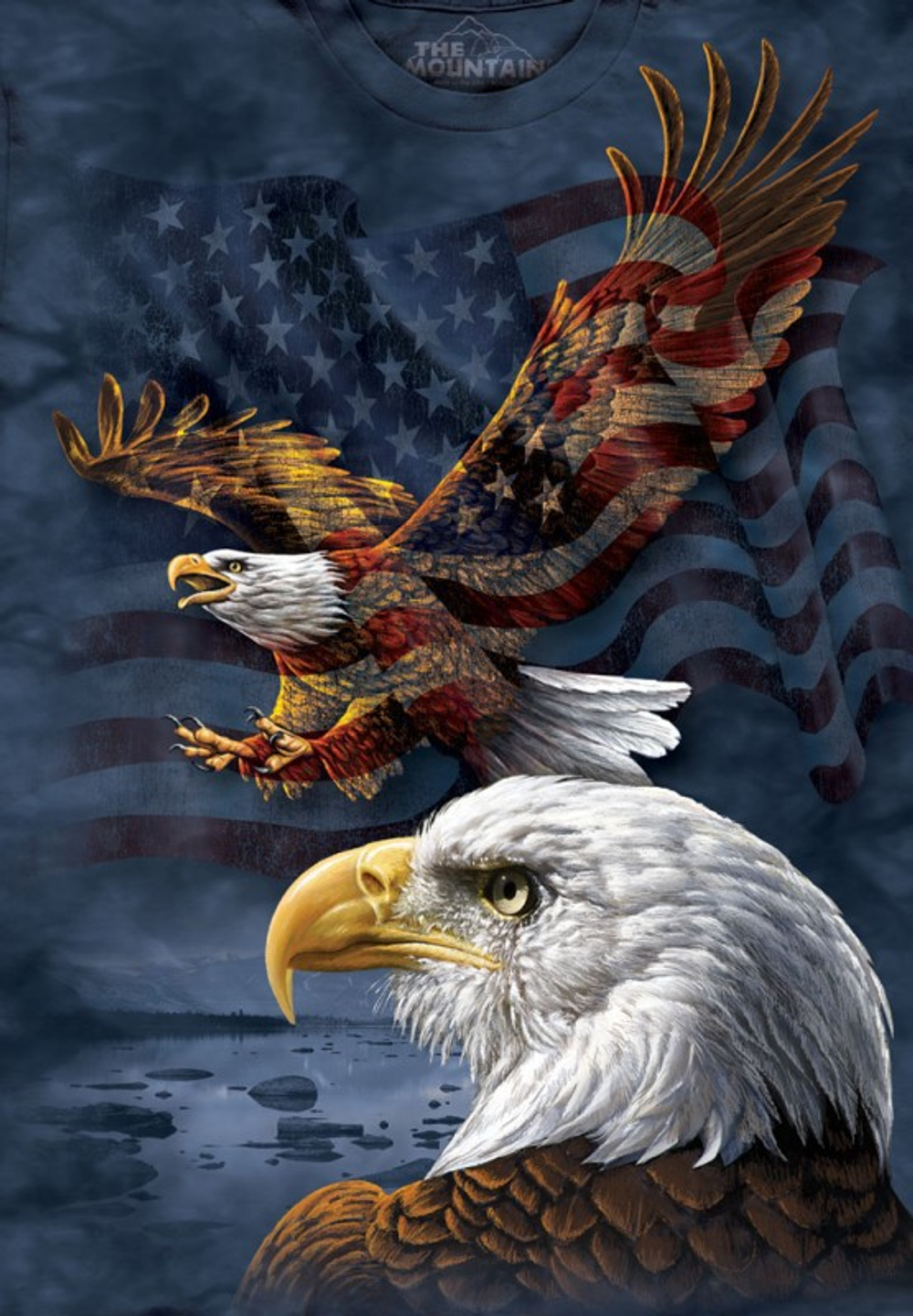 Eagle Flag Collage