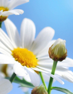 Товар с НЕ 0 стоимостью