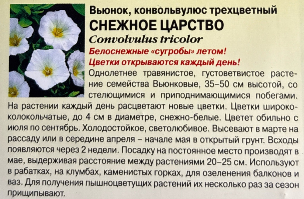 Вьюнок Снежное царство 0,5 г СМЦ-502