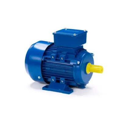 Электродвигатель ESQ 90 LB2-SDN- 3/3000 IMB3