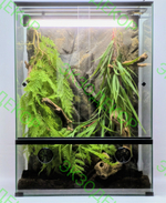 Полный комплект для Бананоеда. Террариум 50х40х50 и всё необходимое для содержания.