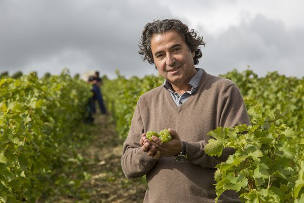 Pascal Jolivet Sancerre Rose 2017 получил 93 балла от Джеймса Саклинга