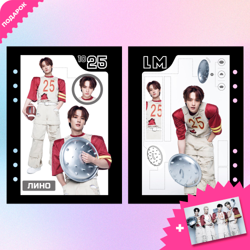 Разделитель А5 / STRAY KIDS / Минхо