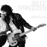 Bruce Springsteen / The Album Collection, Vol. 1 (8LP)