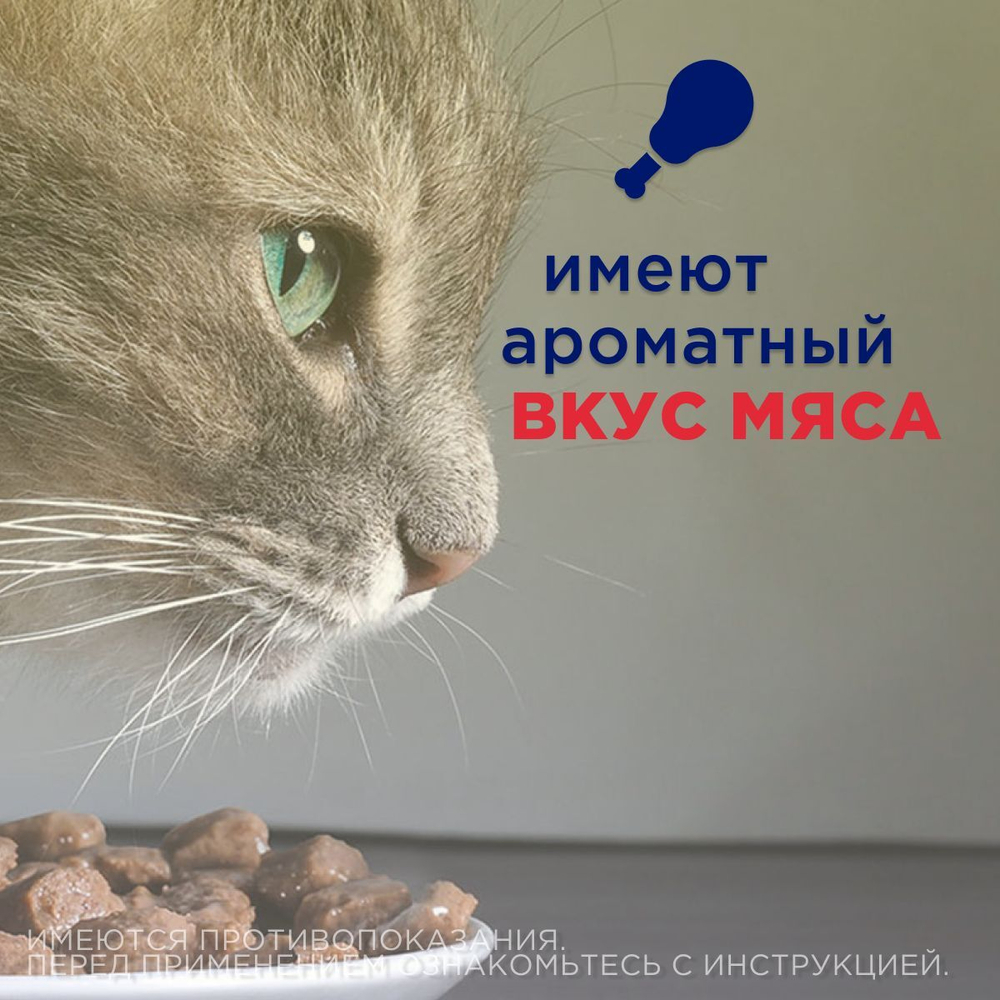 Таблетки от гельминтов для собак и кошек со вкусом мяса Квантум (VIC), 20 таб. Мебендазол/Празиквантел