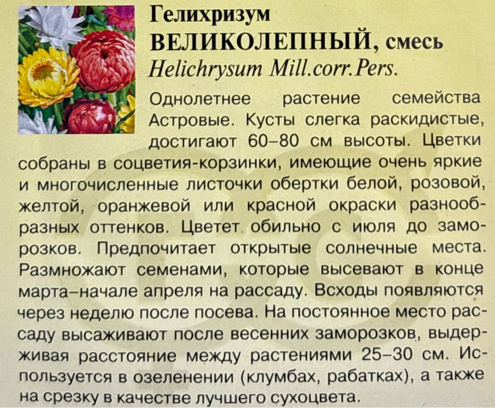 Гелихризиум Великолепный, смесь 0,1 г СМЦ-545