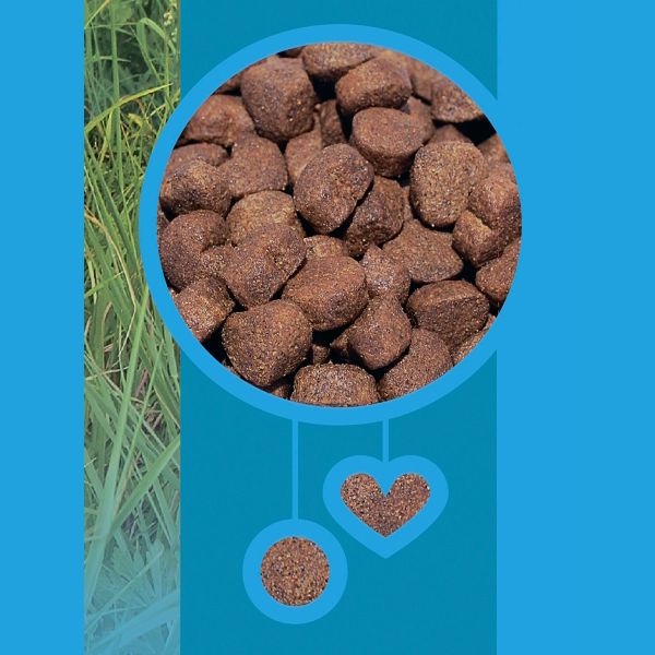 Сухой корм ProХвост для собак, мясное ассорти