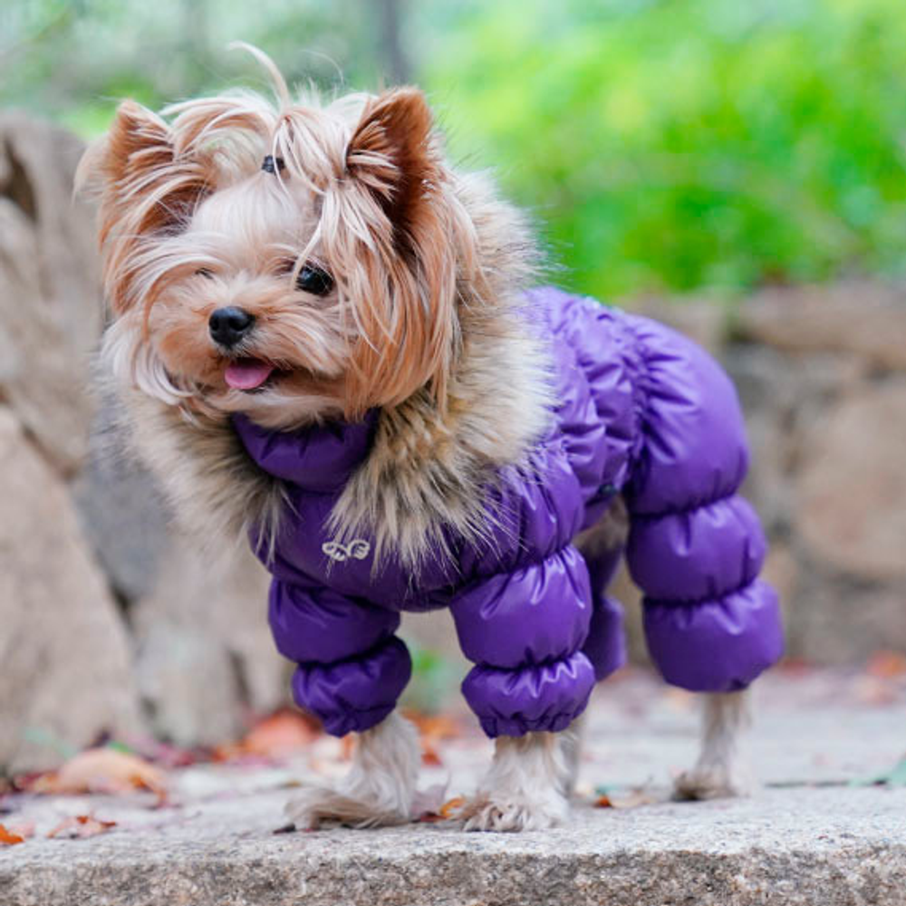 442 PA-OW Комбинезон зимний, унисекс