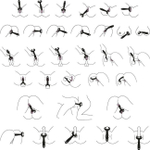 Универсальный вибромассажер для двоих с вращающейся головкой Satisfyer Endless Fun (3 мотора, 10 режимов) (Цвет: синий)