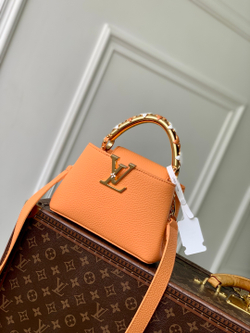 Louis Vuitton Capucines Mini