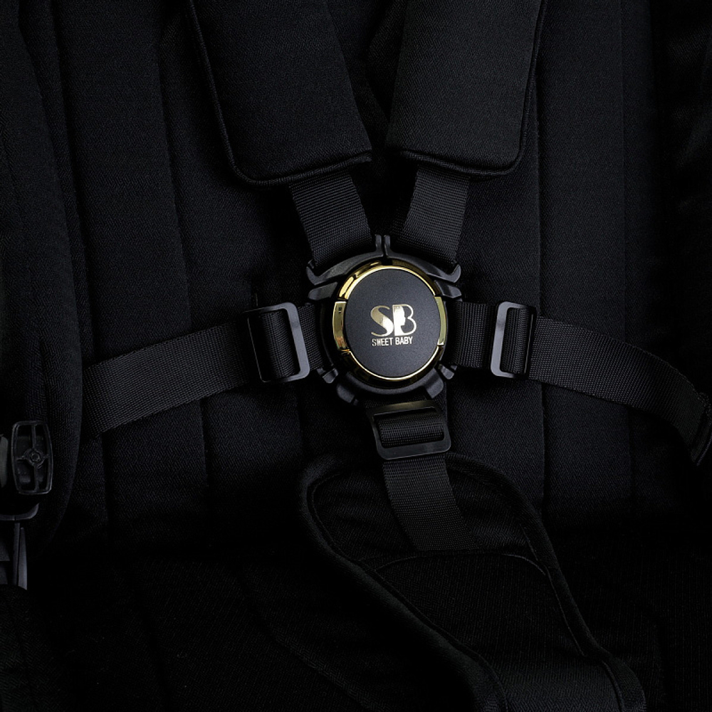 Детская коляска Sweet Baby Elegante 2 в 1 GL Black