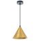 Подвесной светильник Arte Lamp David A7033SP-1BK