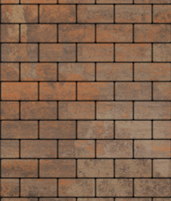 Тротуарная плитка ВЫБОР, форма Прямоугольник 100*200, h=60мм