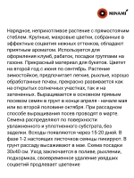 Колокольчик Махровый смесь сортов семена 3гр