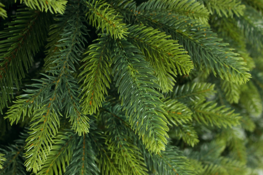 TAIGA 100%PU Ель искусственная Тайга литая 100% 250 см