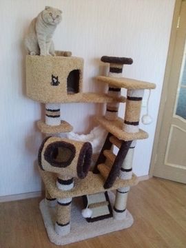 Комплекс для кошек К-162