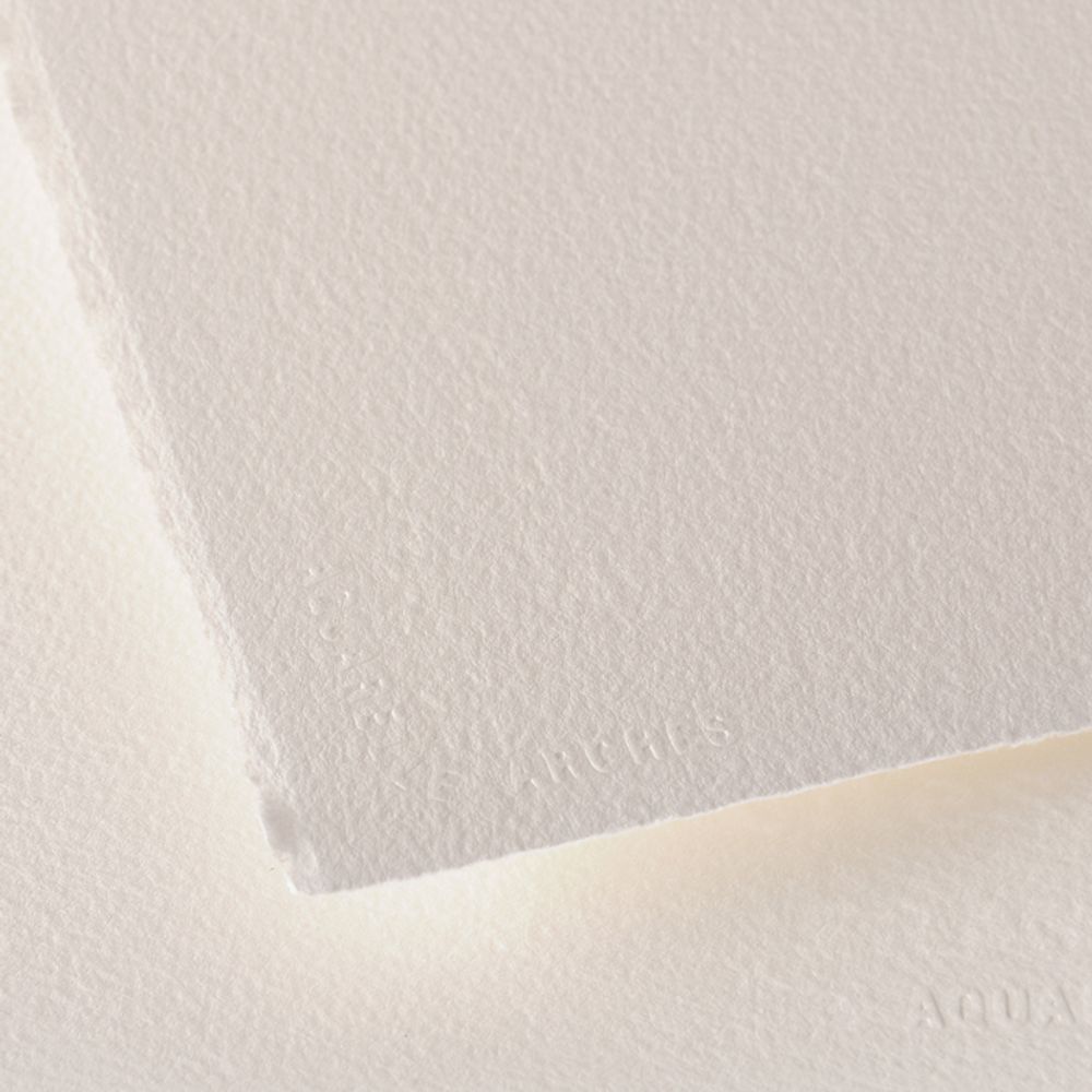 Бумага для акварели RG Watercolour Rough 100% хлопок 300 г/м², 76х56 см, 10 шт, крупнозернистая, Arches A1795026 Бумага для акварели RG Watercolour Rough 100% хлопок 300 г/м², 76х56 см, 10 шт, крупнозернистая, Arches A1795026