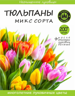 Тюльпан Луковицы неочищенные, Микс сортов, 200шт+