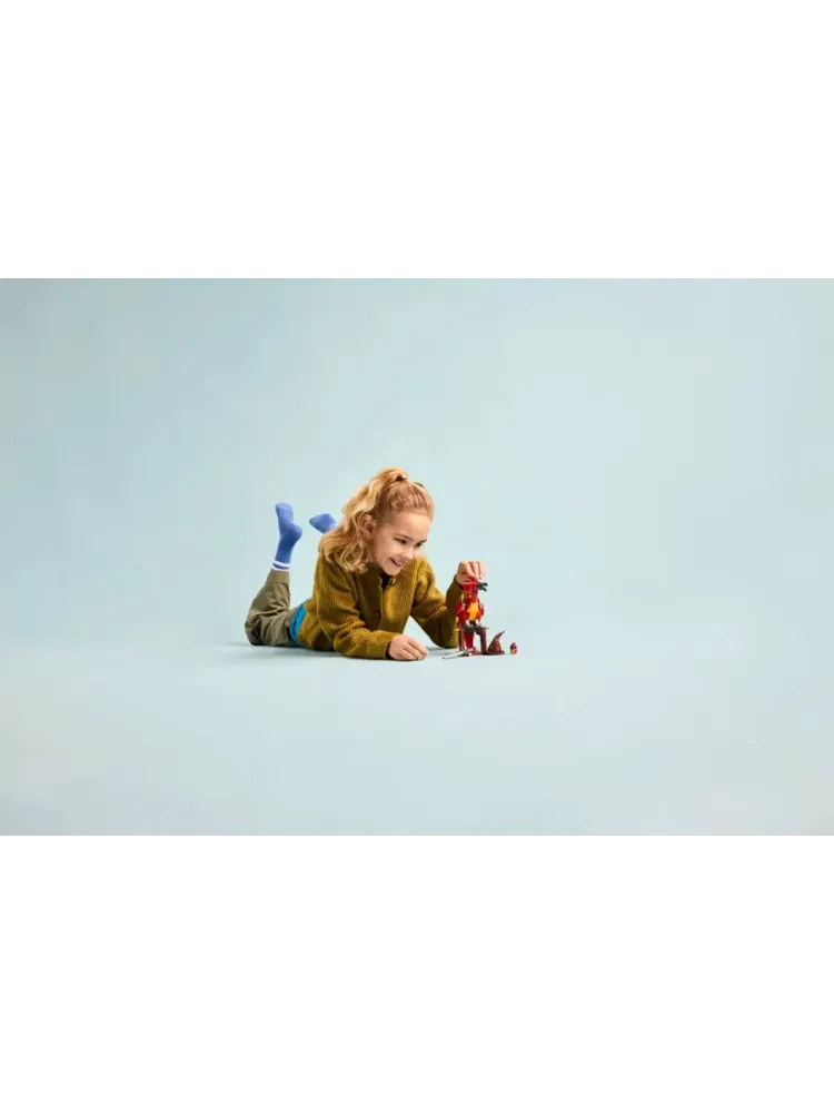 Конструктор Harry Potter 76448 Фоукс Феникс