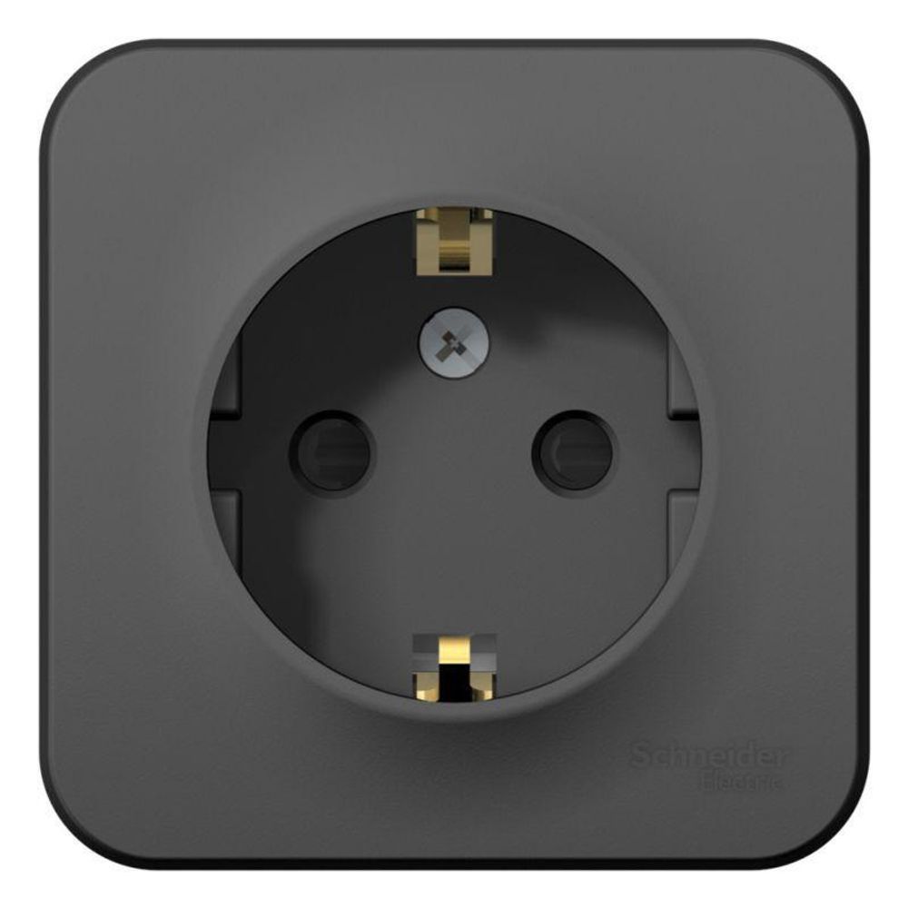 Розетка 1-м ОП Blanca 16А IP20 250В с заземл. защ. шторки с изолир. пластиной антрацит SE BLNRA011116 Розетка 1-м ОП Blanca 16А IP20 250В с заземл. защ. шторки с изолир. пластиной антрацит SE BLNRA011116