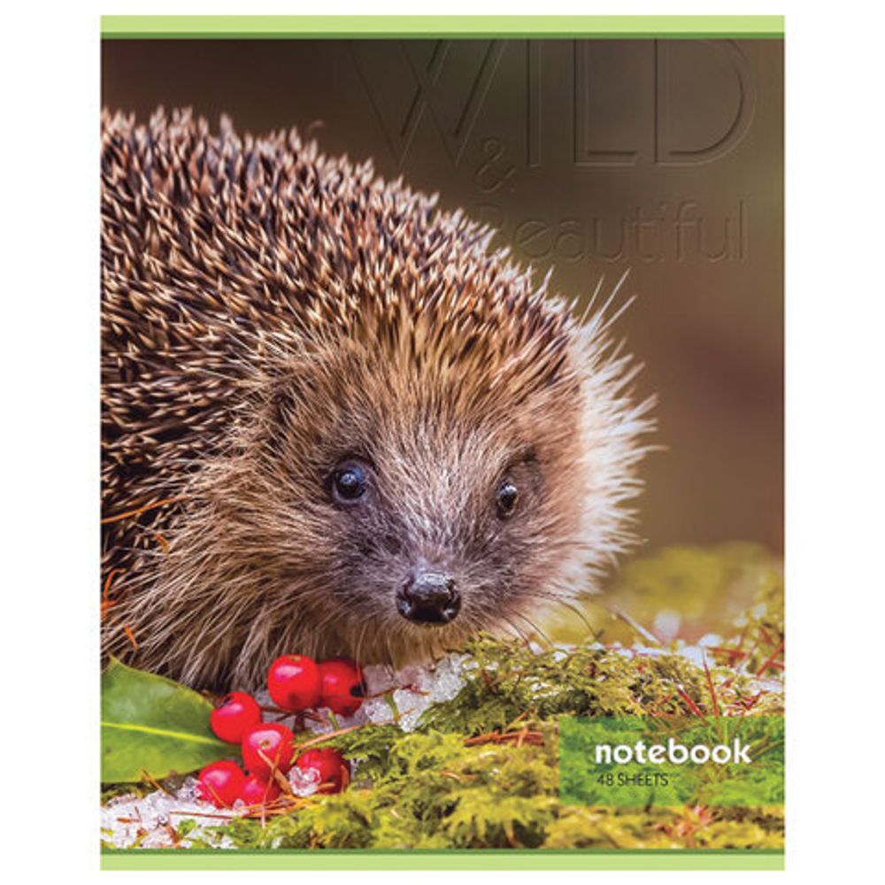 Тетрадь А5, 48 л., HATBER-ECO, скоба, офсет №2 ЭКОНОМ, клетка, обложка картон, "Авто", 48Т5D1