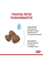 ROYAL CANIN MEDIUM STARTER MOTHER & BABYDOG(Роял Канин МЕДИУМ СТАРТЕР МАЗЕ ЭНД БЭБИДОГ) корм сухой для собак 20 кг.