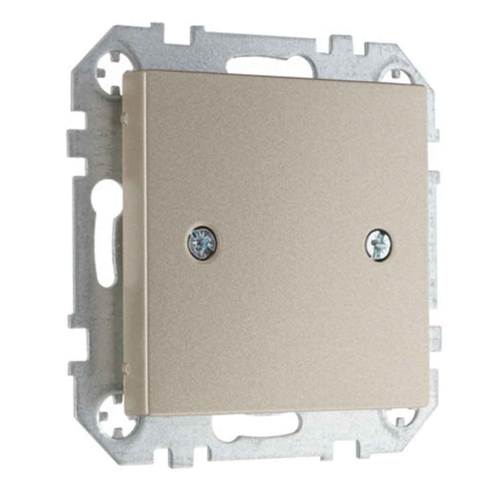 Заглушка для розетки LIREGUS EPSILON D-001-01.E/Ch шампань