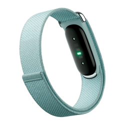 Фитнес-браслет Google Fitbit Air